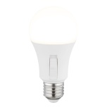 Bulb G10615