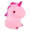 2873 UNICORN