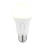 Bulb G10615